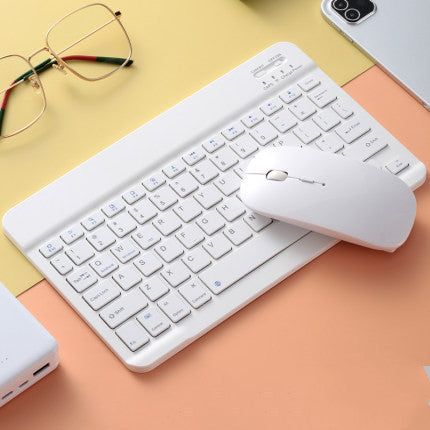 Portable keyboard and mouse set