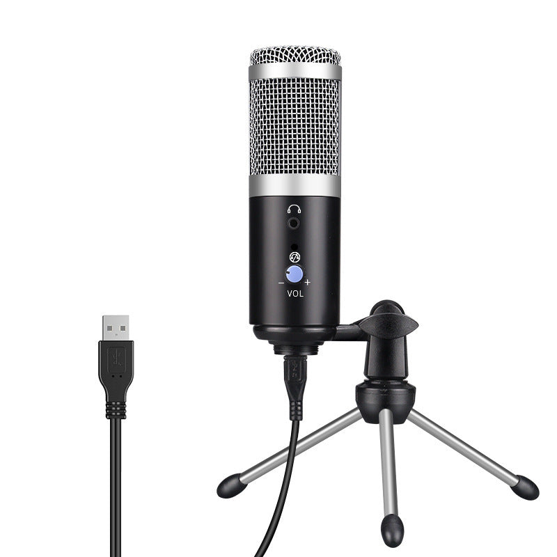 Computer microphone