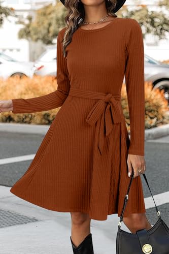 Newshows Halloween Dress for Women Winter Holiday Vacation Outfits Fall Long Sleeve Casual Sweater Dresses 2024 Trendy(Caramel, L)