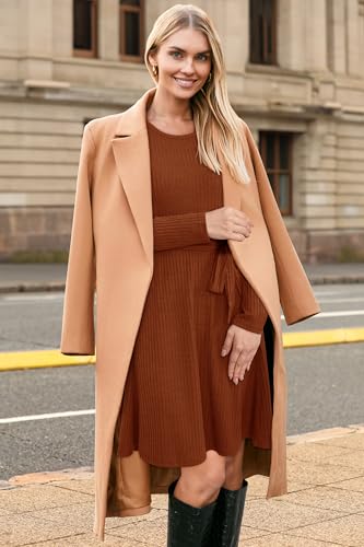 Newshows Halloween Dress for Women Winter Holiday Vacation Outfits Fall Long Sleeve Casual Sweater Dresses 2024 Trendy(Caramel, L)