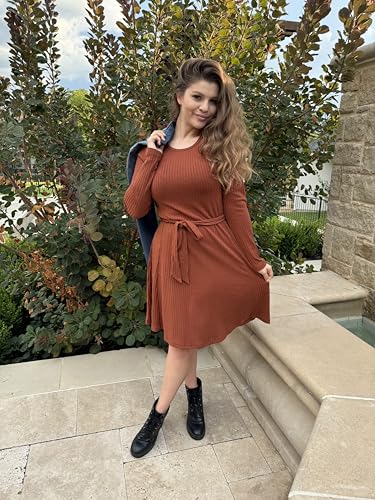 Newshows Halloween Dress for Women Winter Holiday Vacation Outfits Fall Long Sleeve Casual Sweater Dresses 2024 Trendy(Caramel, L)