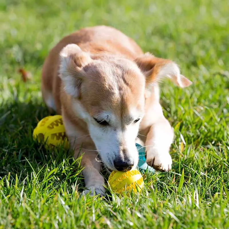 5cm Natural Rubber Pet Dog Toys Dog Chew Toys Tooth Cleaning Treat Ball Extra-tough Interactive Elasticity Ball for Pet Products