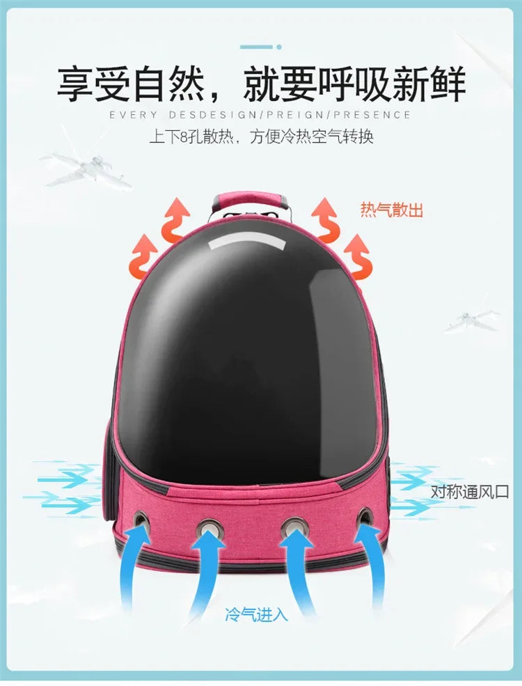 New Cat Backpack Transparent Space Capsule Backpack Pet Backpack Portable Large Capacity Cat Bag for Going Out