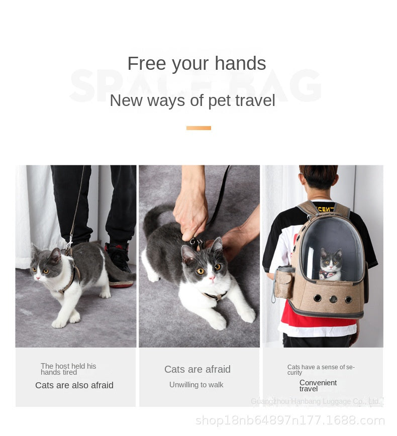 Fashion And Transparent Cat Backpack Large Capacity Cat Transport Bag Vent Design Cat Basket Convenient Folding Pet Trolley