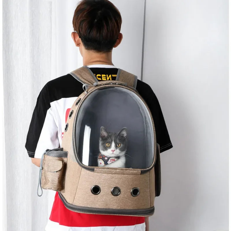 Fashion And Transparent Cat Backpack Large Capacity Cat Transport Bag Vent Design Cat Basket Convenient Folding Pet Trolley