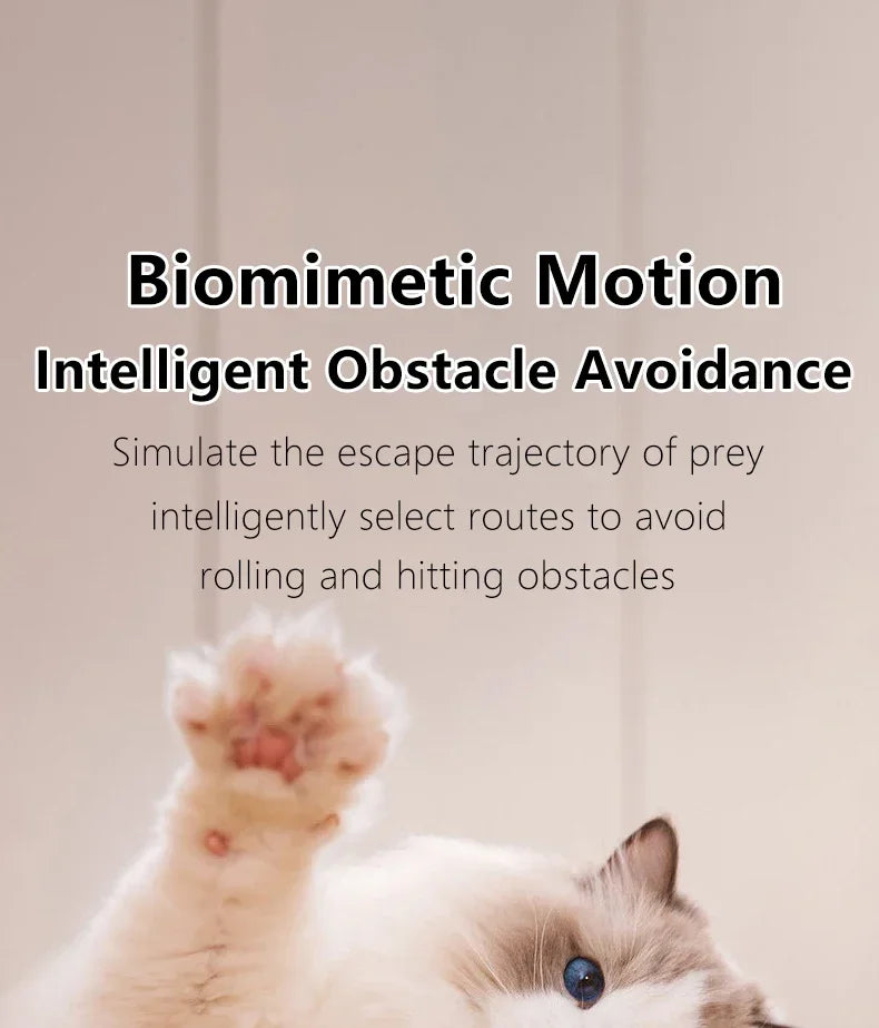 Electric Cat Ball Interactive Toys Automatic Rolling Smart Cat Toys for Cats Training Self-moving Kitten Toys for Indoor Playing